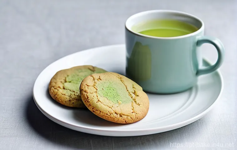 초코칩 쿠키 제품 비교 - **Prompt 2: Gourmet Artisanal Sea Salt Caramel Cookie**
    A high-resolution, professional food pho...