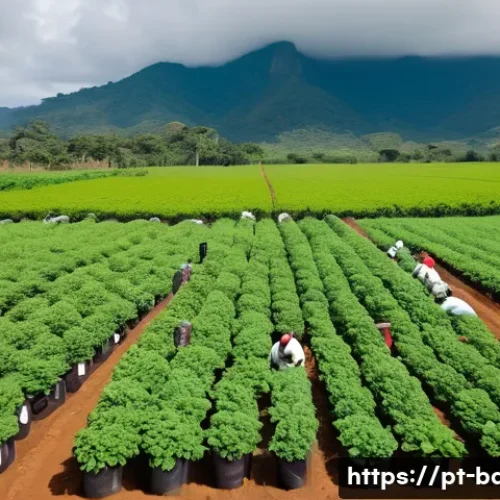 Home 32 과자 원료 공급업체 - A detailed, vibrant scene of an organic farm in Minas Gerais, Brazil, showing workers carefully harv...